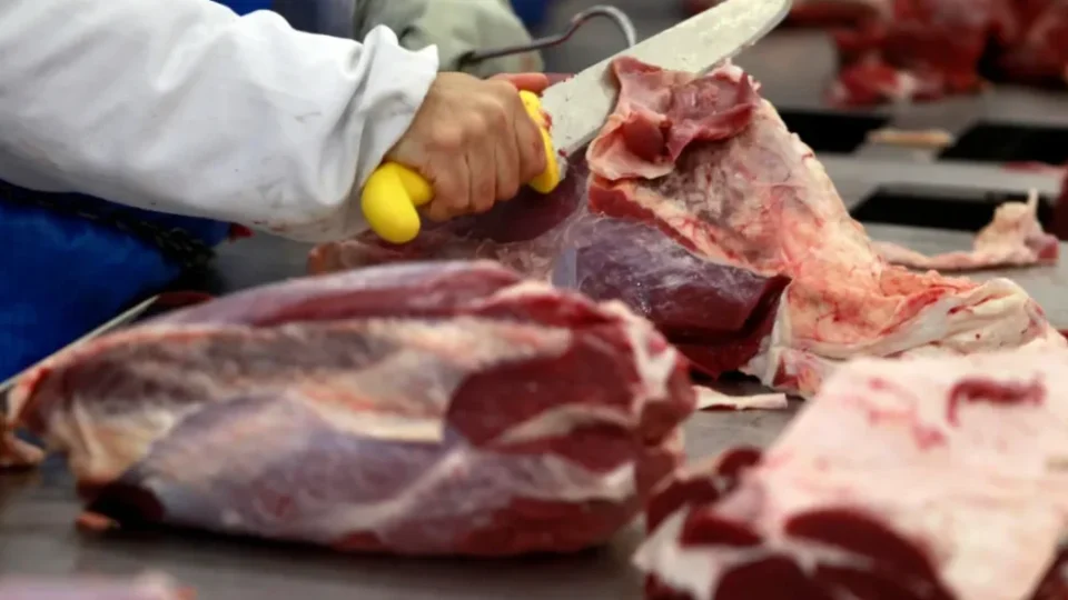 Exportações de carne bovina ampliam relações comerciais além da China