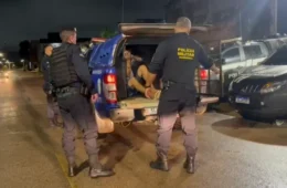 Marido é preso por tentativa de abuso contra esposa em Porto Velho