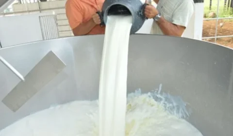 Governo de Rondônia agenda reunião para reativar Câmara Setorial do Leite