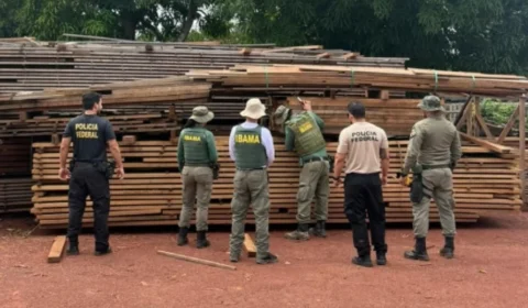 Policia Federal realiza operação contra extração ilegal de madeira com participação de indígenas em Roosevelt