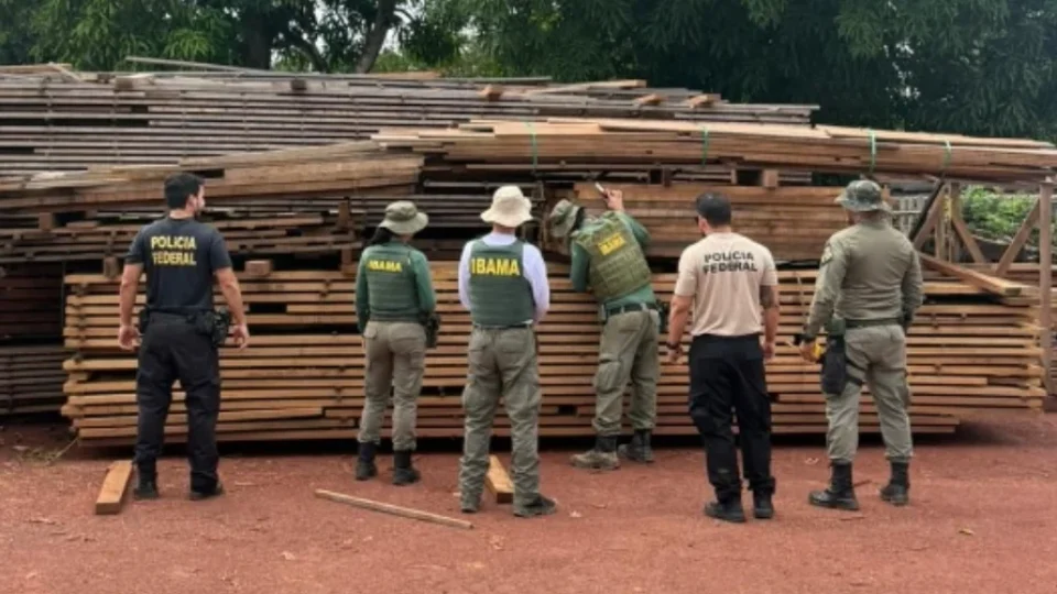 Policia Federal realiza operação contra extração ilegal de madeira com participação de indígenas em Roosevelt