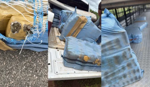 Homem é preso com 261 quilos de drogas na BR-364