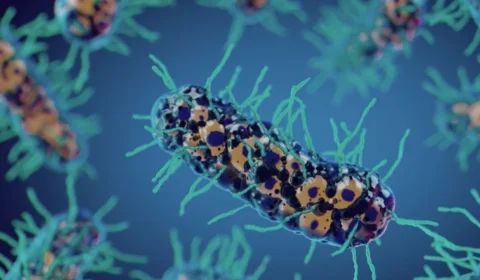 Cientistas desenvolvem bactéria modificada para atacar tumores por dentro