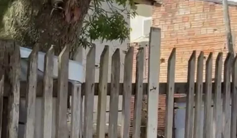 Mulher é assassinada a tiros dentro de residência na zona leste de Porto Velho