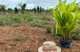 Ação da Ecoporé transforma Carnaval em mobilização por restauração florestal em Rondônia
