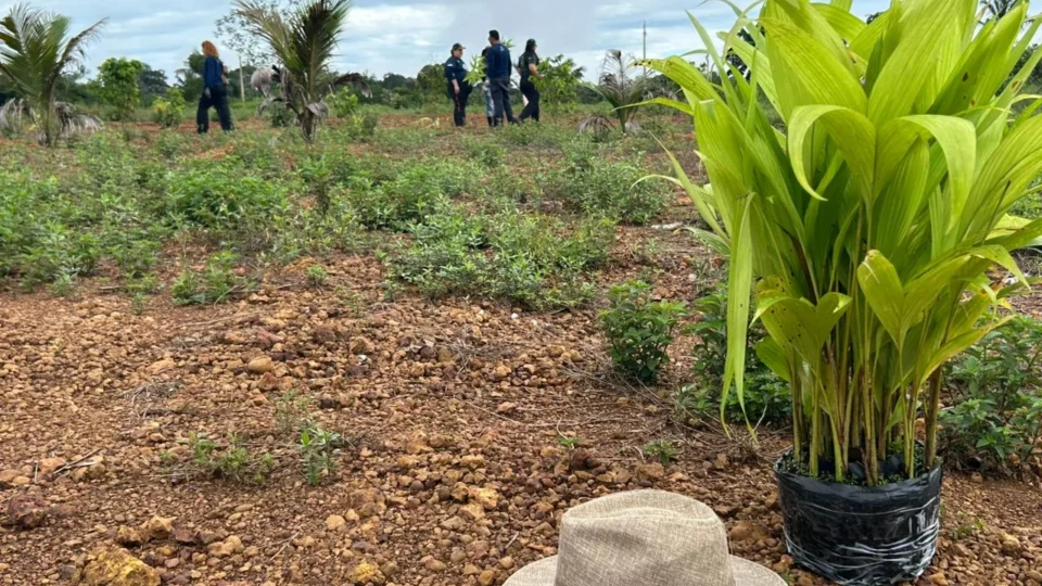 Ação da Ecoporé transforma Carnaval em mobilização por restauração florestal em Rondônia