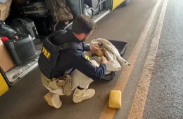 VÍDEO: PRF apreende mais de 20 kg de droga em ônibus na BR-364