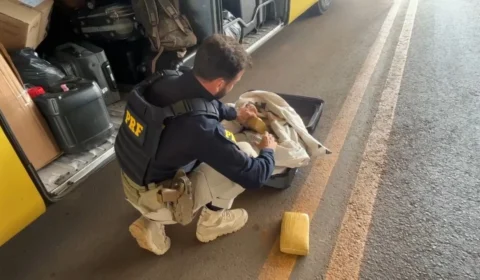 VÍDEO: PRF apreende mais de 20 kg de droga em ônibus na BR-364