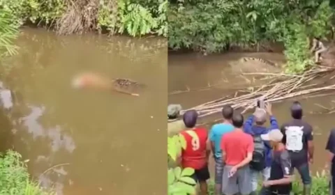 VÍDEO: Mulher morre após ataque de crocodilo enquanto coletava mariscos na Indonésia