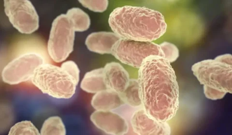 Porto Velho confirma caso de coqueluche em bebê de três meses