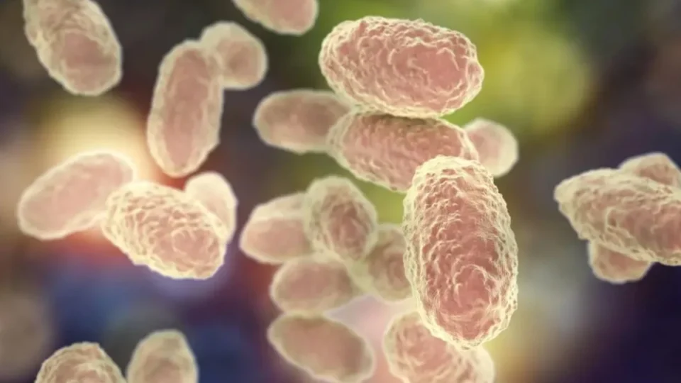 Porto Velho confirma caso de coqueluche em bebê de três meses