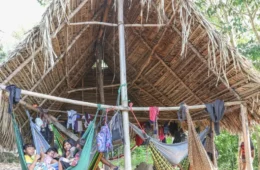 Povo Parakanã retoma controle da TI Apyterewa após retirada de invasores no Pará