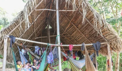 Povo Parakanã retoma controle da TI Apyterewa após retirada de invasores no Pará