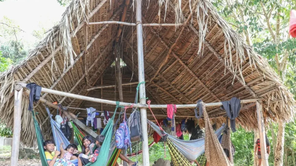 Povo Parakanã retoma controle da TI Apyterewa após retirada de invasores no Pará