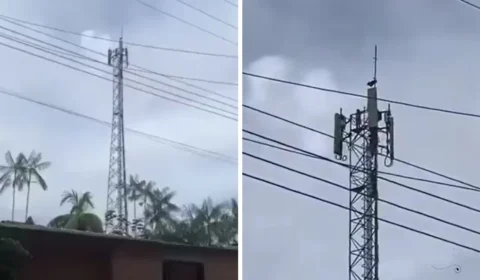 VÍDEO: crianças escalam torre de telefonia no Amazonas e assustam moradores