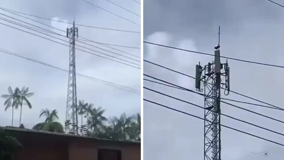 VÍDEO: crianças escalam torre de telefonia no Amazonas e assustam moradores