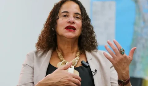 Bioeconomia é aposta do governo para gerar renda e inovação na Amazônia, diz ministra