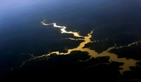 Plano de R$ 3,5 bilhões aposta na Amazônia para avanço em ciência e tecnologia