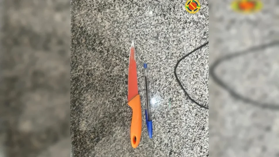 Confusão por cachorro leva a esfaqueamento e prisão no centro de Brasília