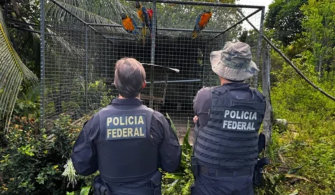 Tráfico de animais silvestres: PF cumpre 34 mandados em quatro estados do Nordeste e um no Norte