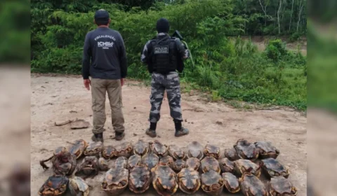 Operação ambiental apreende 36 jabutis em reserva extrativista no Acre