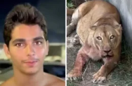 Justiça arquiva caso de jovem morto por leoa em zoológico da Paraíba