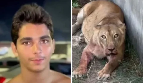 Justiça arquiva caso de jovem morto por leoa em zoológico da Paraíba