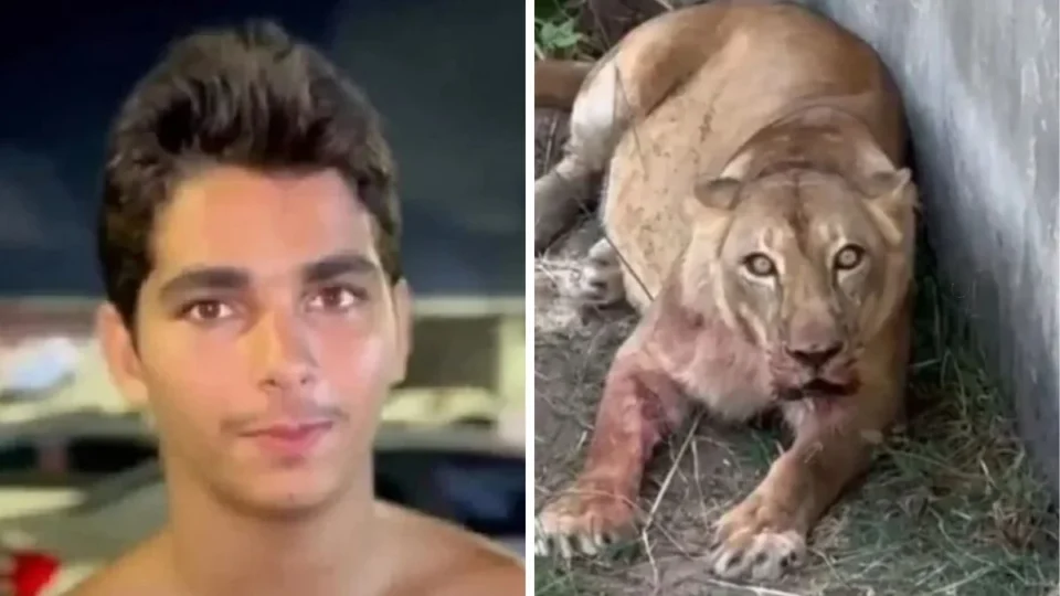 Justiça arquiva caso de jovem morto por leoa em zoológico da Paraíba