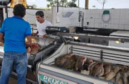 Feira do Peixe em Rio Branco deve movimentar 146 toneladas e impulsionar economia local