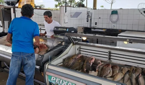 Feira do Peixe em Rio Branco deve movimentar 146 toneladas e impulsionar economia local