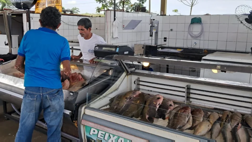 Feira do Peixe em Rio Branco deve movimentar 146 toneladas e impulsionar economia local