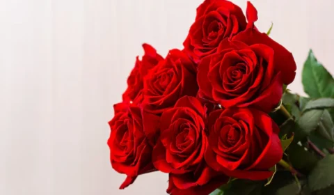 Dia da Mulher deve impulsionar vendas de flores com alta de até 6% no Brasil