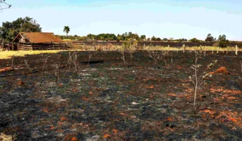 Pastagens degradadas somam 5,3 milhões de hectares em pequenas propriedades no MT e no PA
