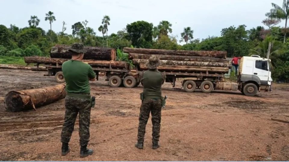 Polícia intercepta esquema de madeira ilegal em reduto de desmatamento na Amazônia