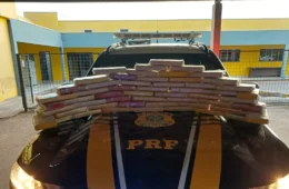 PRF descobre esconderijo de cocaína em estruturas de madeira na BR-364