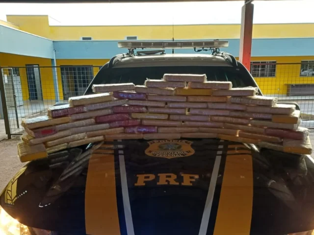 PRF descobre esconderijo de cocaína em estruturas de madeira na BR-364