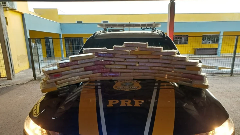 PRF descobre esconderijo de cocaína em estruturas de madeira na BR-364