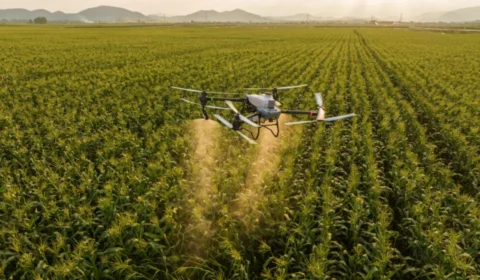 Drones no campo: tecnologia cresce 10 vezes e revoluciona a agricultura brasileira