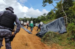 Campo em guerra: Invasões de terra batem recorde da década no Brasil