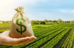 CNA alerta: Novas regras do Prodes podem bloquear crédito rural a partir de abril
