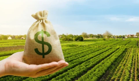 CNA alerta: Novas regras do Prodes podem bloquear crédito rural a partir de abril