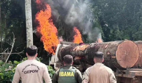 Policia Federal destrói logística de desmatamento em Terra Indígena de Rondônia