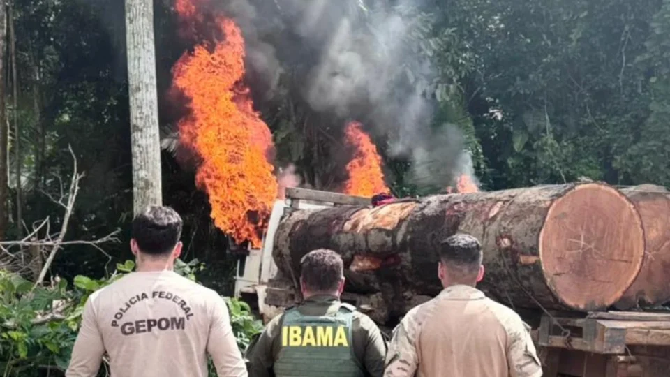 Policia Federal destrói logística de desmatamento em Terra Indígena de Rondônia