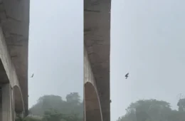 Jovem é flagrado pulando de ponte durante temporal; Veja o vídeo