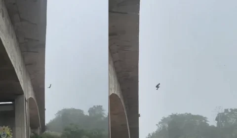 Jovem é flagrado pulando de ponte durante temporal; Veja o vídeo
