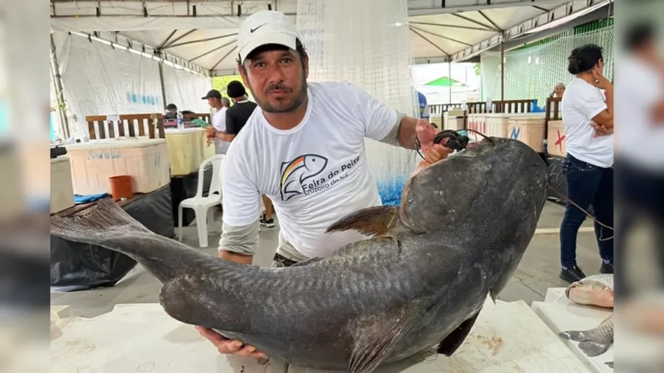 Jundiá de 45 quilos vence concurso e é destaque em Feira do Peixe no Acre
