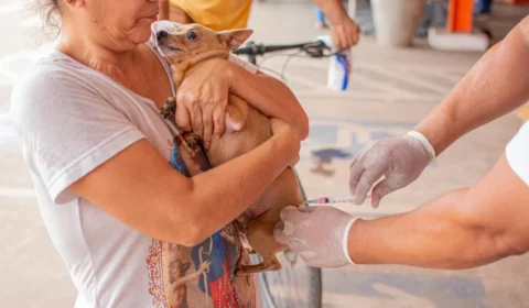 Feira de adoção e vacinação antirrábica será realizada neste sábado em Rio Branco