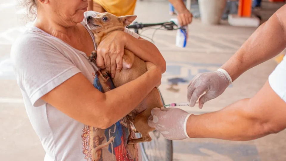 Feira de adoção e vacinação antirrábica será realizada neste sábado em Rio Branco