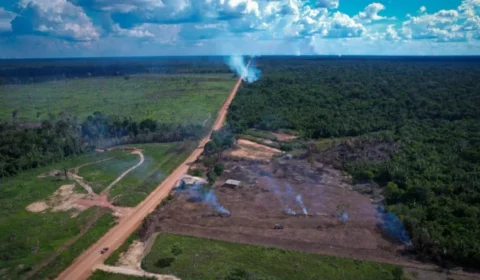 BR-319 volta ao centro da disputa política no Amazonas