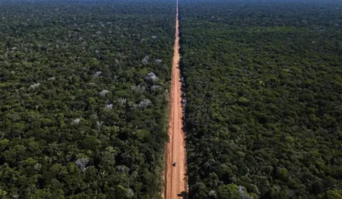 Justiça Federal paralisa licitações de R$ 678 milhões na BR-319